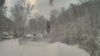 Weather camera view of Camp Guyasuta.