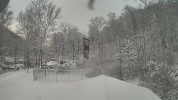 Weather camera view of Camp Guyasuta.