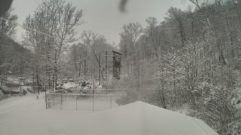 Weather camera view of Camp Guyasuta.