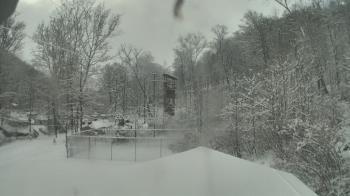 Weather camera view of Camp Guyasuta.