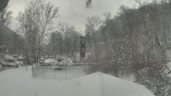 Weather camera view of Camp Guyasuta.