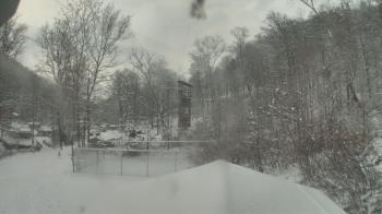 Weather camera view of Camp Guyasuta.