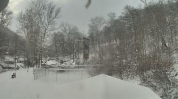 Weather camera view of Camp Guyasuta.