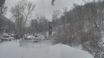 Weather camera view of Camp Guyasuta.