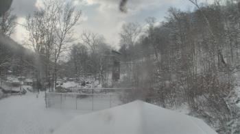 Weather camera view of Camp Guyasuta.