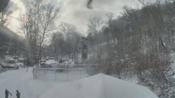 Weather camera view of Camp Guyasuta.