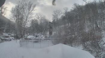 Weather camera view of Camp Guyasuta.