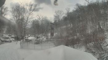 Weather camera view of Camp Guyasuta.