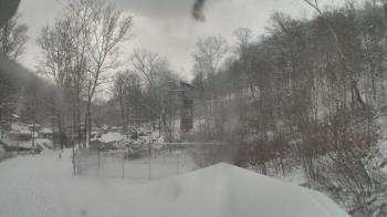 Weather camera view of Camp Guyasuta.