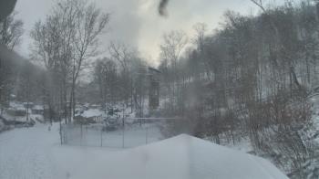 Weather camera view of Camp Guyasuta.