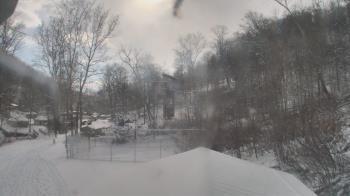 Weather camera view of Camp Guyasuta.