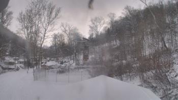 Weather camera view of Camp Guyasuta.
