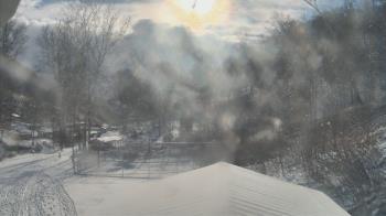 Weather camera view of Camp Guyasuta.