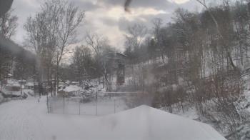 Weather camera view of Camp Guyasuta.