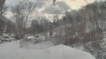 Weather camera view of Camp Guyasuta.