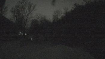 Weather camera view of Camp Guyasuta.