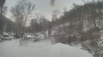 Weather camera view of Camp Guyasuta.