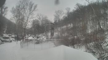 Weather camera view of Camp Guyasuta.