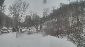 Weather camera view of Camp Guyasuta.