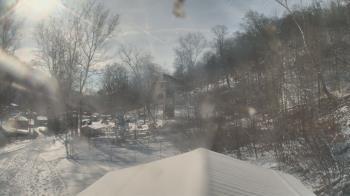 Weather camera view of Camp Guyasuta.