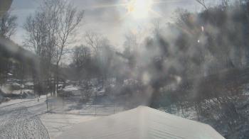 Weather camera view of Camp Guyasuta.