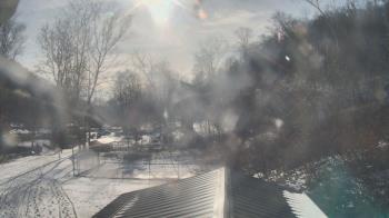 Weather camera view of Camp Guyasuta.