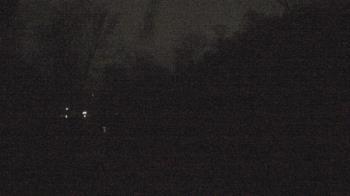 Weather camera view of Camp Guyasuta.