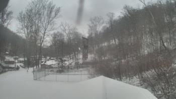 Weather camera view of Camp Guyasuta.