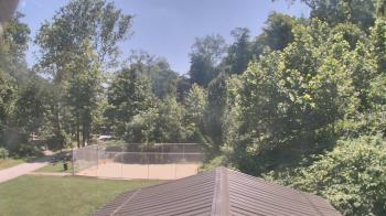 Weather camera view of Camp Guyasuta.