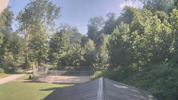 Weather camera view of Camp Guyasuta.