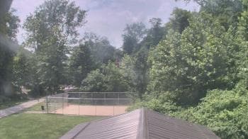Weather camera view of Camp Guyasuta.