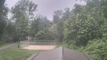 Weather camera view of Camp Guyasuta.