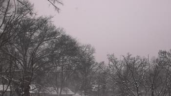 Weather camera view of Good Shepherd Catholic Montessori.