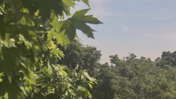 Weather camera view of Good Shepherd Catholic Montessori.