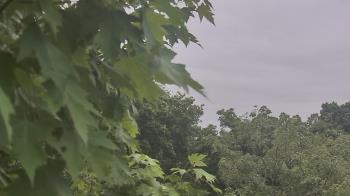Weather camera view of Good Shepherd Catholic Montessori.