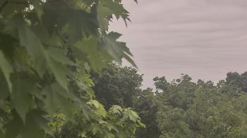 Weather camera view of Good Shepherd Catholic Montessori.