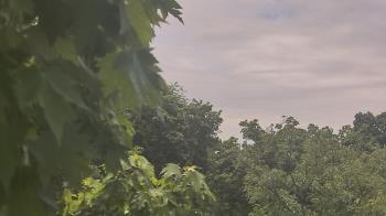 Weather camera view of Good Shepherd Catholic Montessori.
