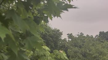 Weather camera view of Good Shepherd Catholic Montessori.