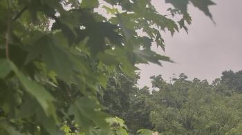 Weather camera view of Good Shepherd Catholic Montessori.