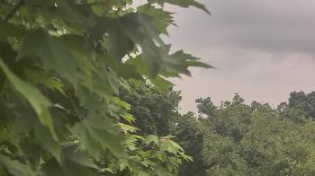 Weather camera view of Good Shepherd Catholic Montessori.