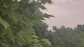 Weather camera view of Good Shepherd Catholic Montessori.