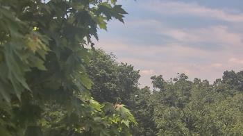 Weather camera view of Good Shepherd Catholic Montessori.