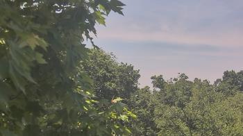 Weather camera view of Good Shepherd Catholic Montessori.