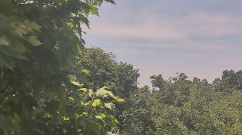 Weather camera view of Good Shepherd Catholic Montessori.