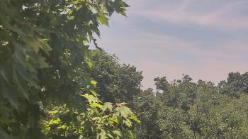 Weather camera view of Good Shepherd Catholic Montessori.
