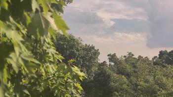 Weather camera view of Good Shepherd Catholic Montessori.