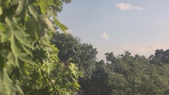 Weather camera view of Good Shepherd Catholic Montessori.