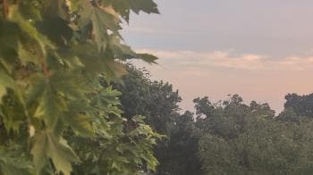 Weather camera view of Good Shepherd Catholic Montessori.