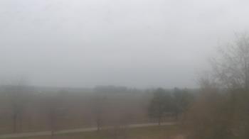 Weather camera view of Walkers Bluff.