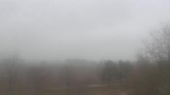 Weather camera view of Walkers Bluff.